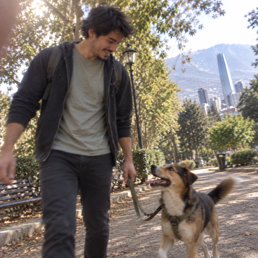 Persona paseando a su perro por un parque de Santiago