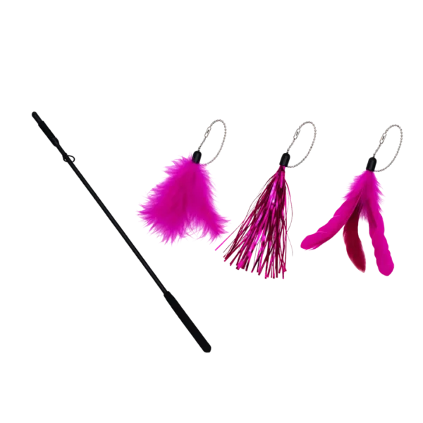 Varita plumas y cintas brillantes intercambiables