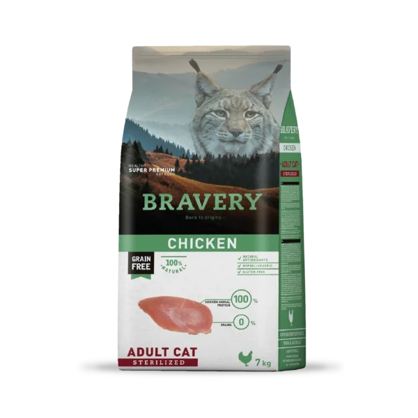 Bravery Chicken adult cat sterilized